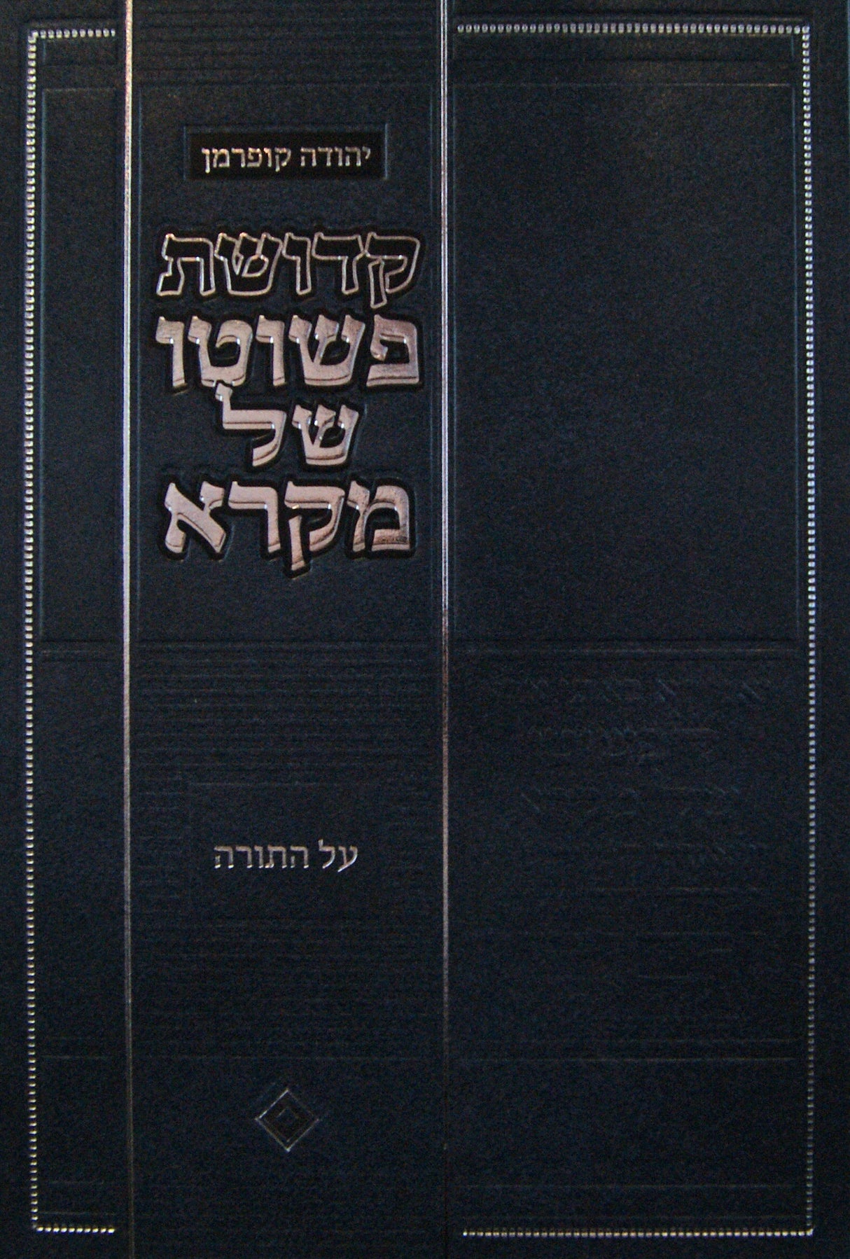 קדושת פשוטו של מקרא על התורה