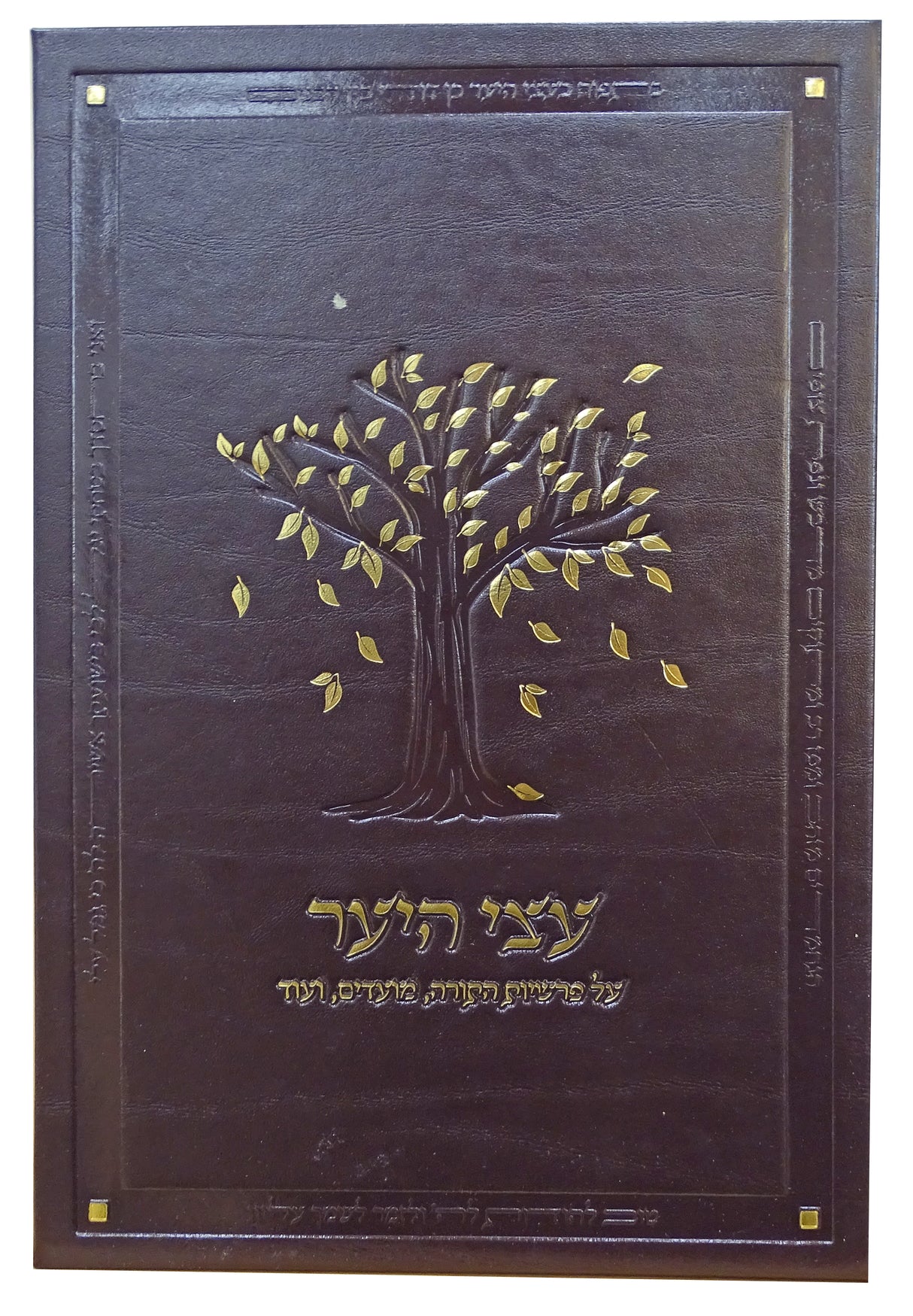 עצי היער