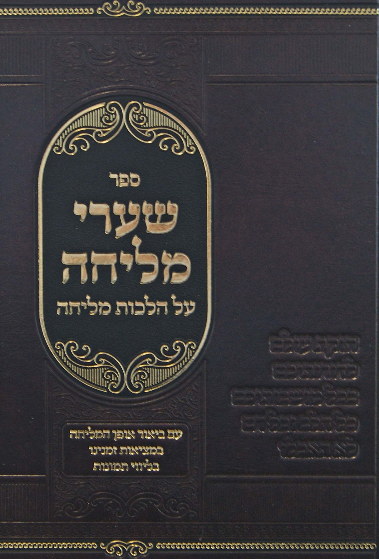 שערי מליחה - על הלכות מליחה - עם תמונות