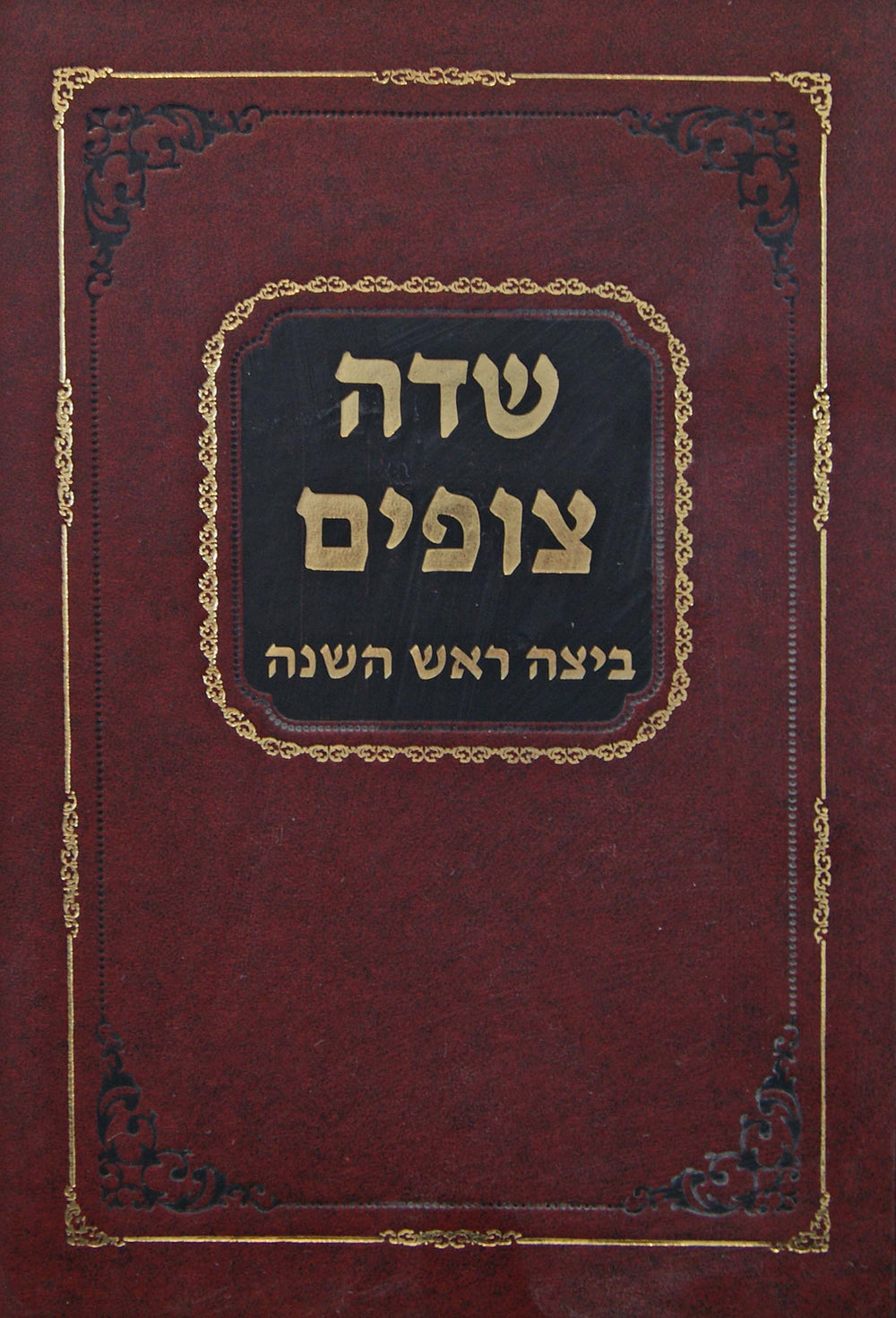 שדה צופים - מסכת ביצה ראש השנה – Lehmanns