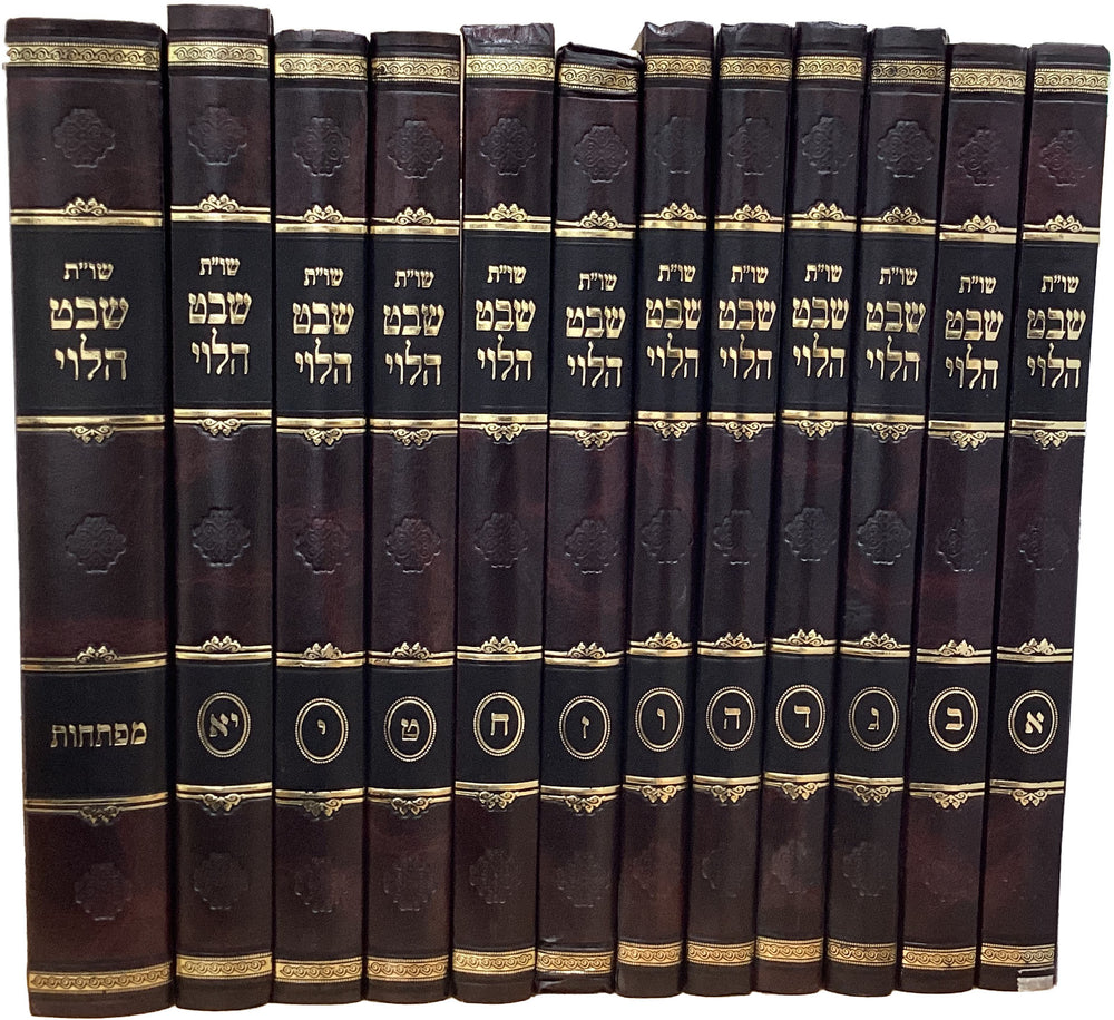 שבט הלוי - י