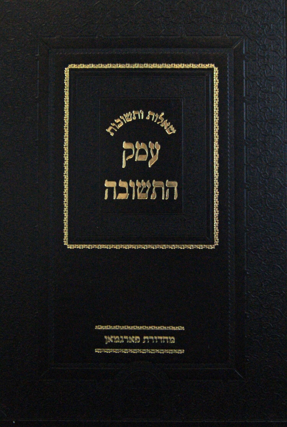 עמק התשובה שו"ת חלק ח