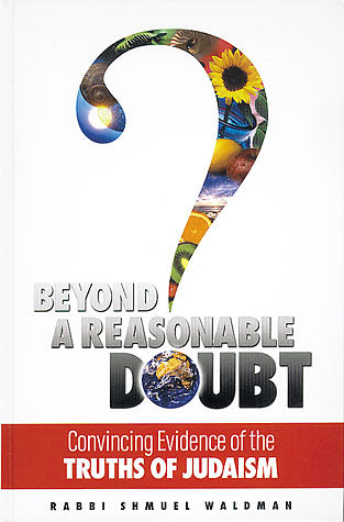 Beyond a Reasonable Doubt (Hardback)