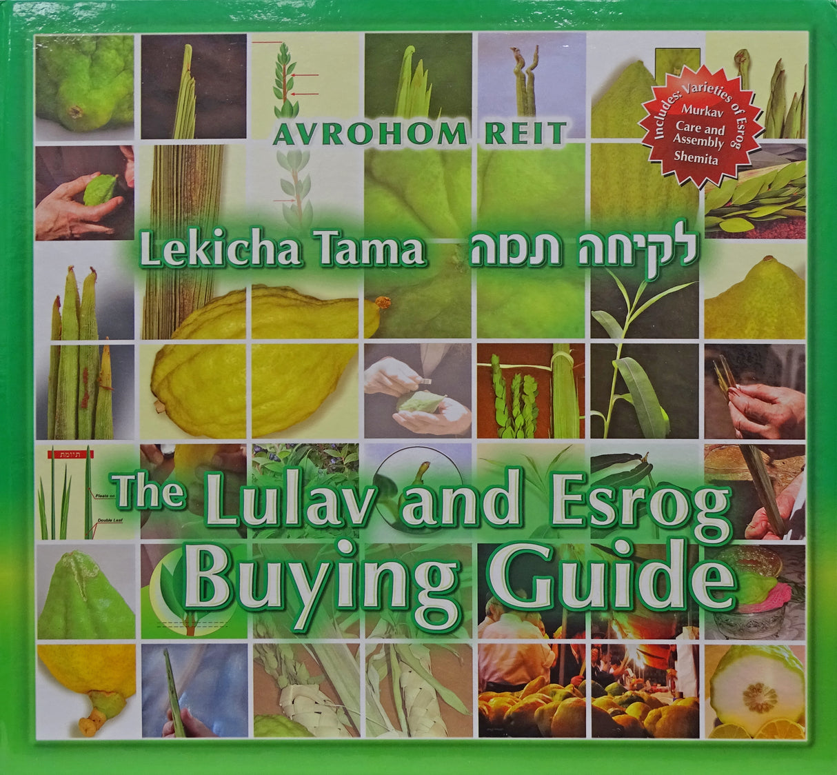 Lekicha Tama H/b - Lulav and Esrog Buying Guide