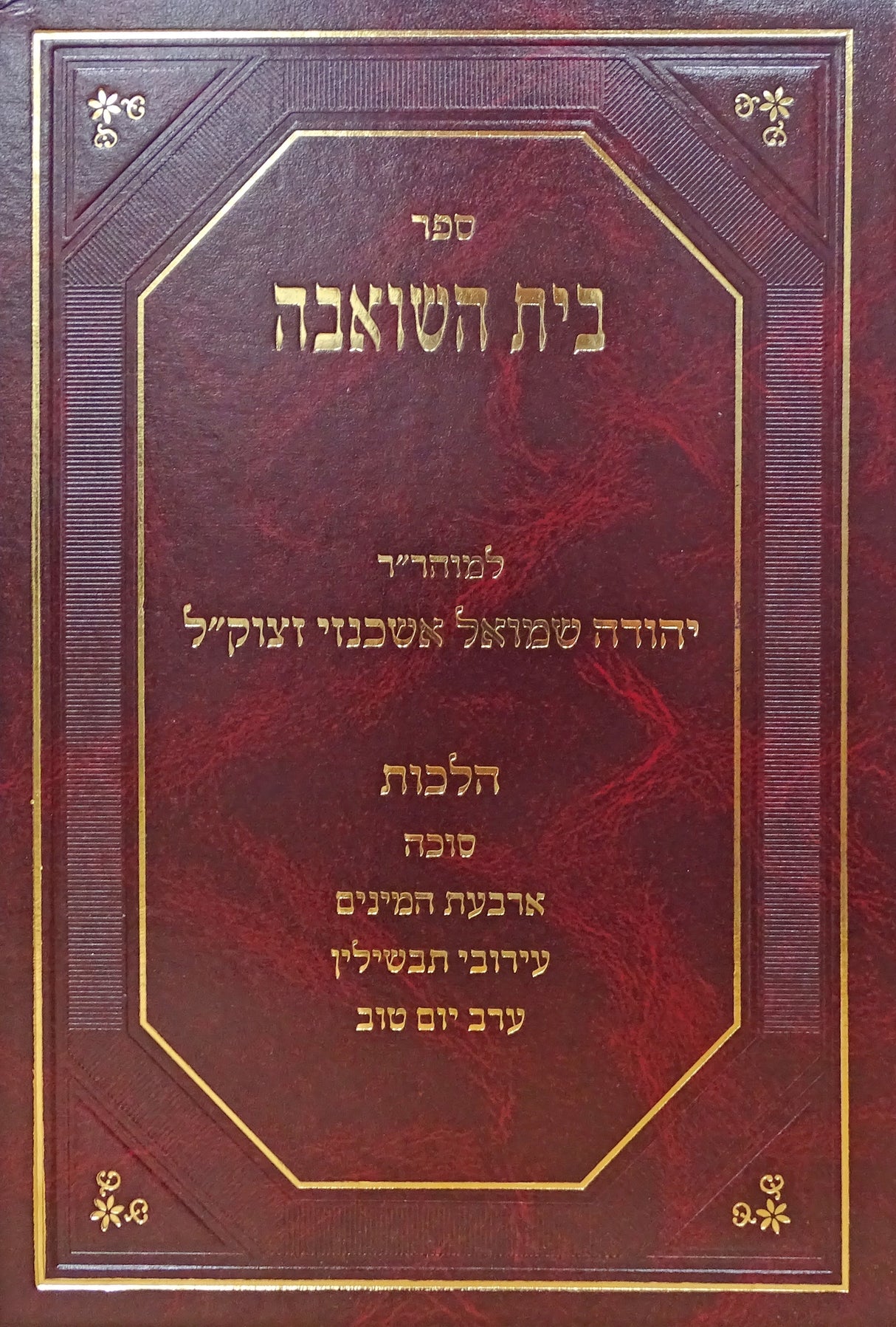 בית השואבה - הלכות סוכה