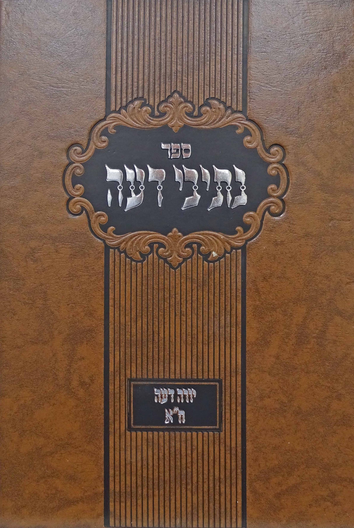 נתיבי דעה