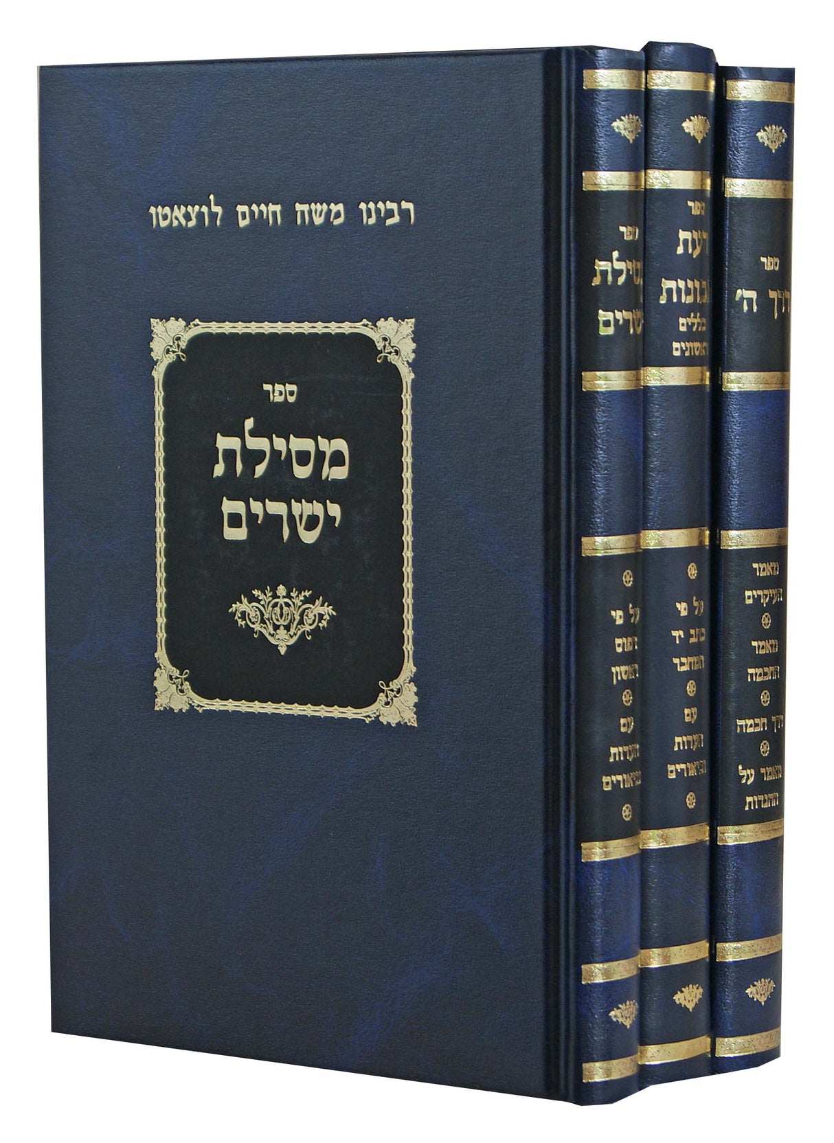 דעת תבונות/מסילת ישרים/דרך השם מנוקד ג' כרכים