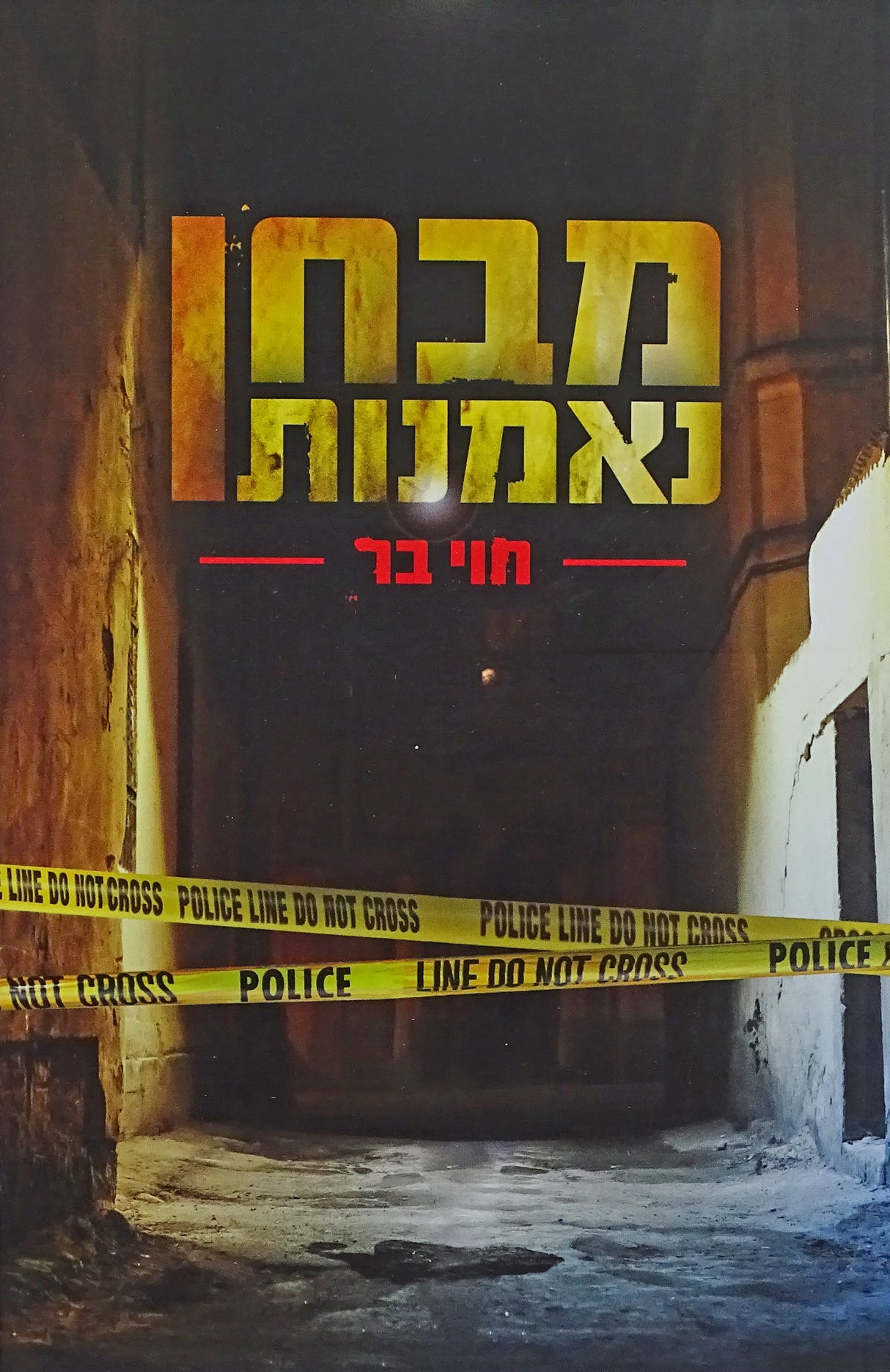 מבחן נאמנות רכה