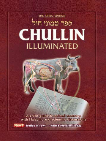 Chullin Illuminated