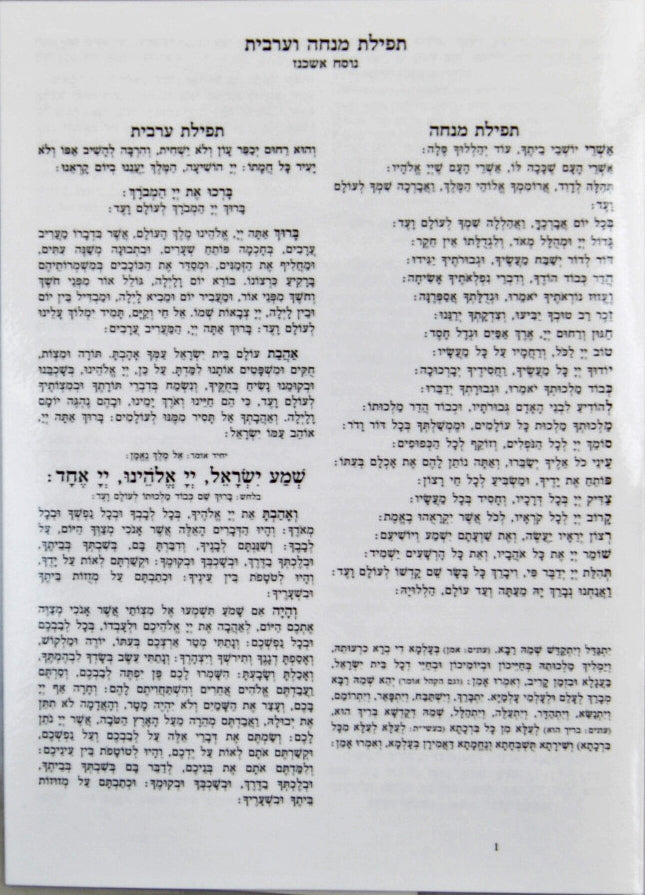 מנחה וערבית למינציה גדול אשכנז