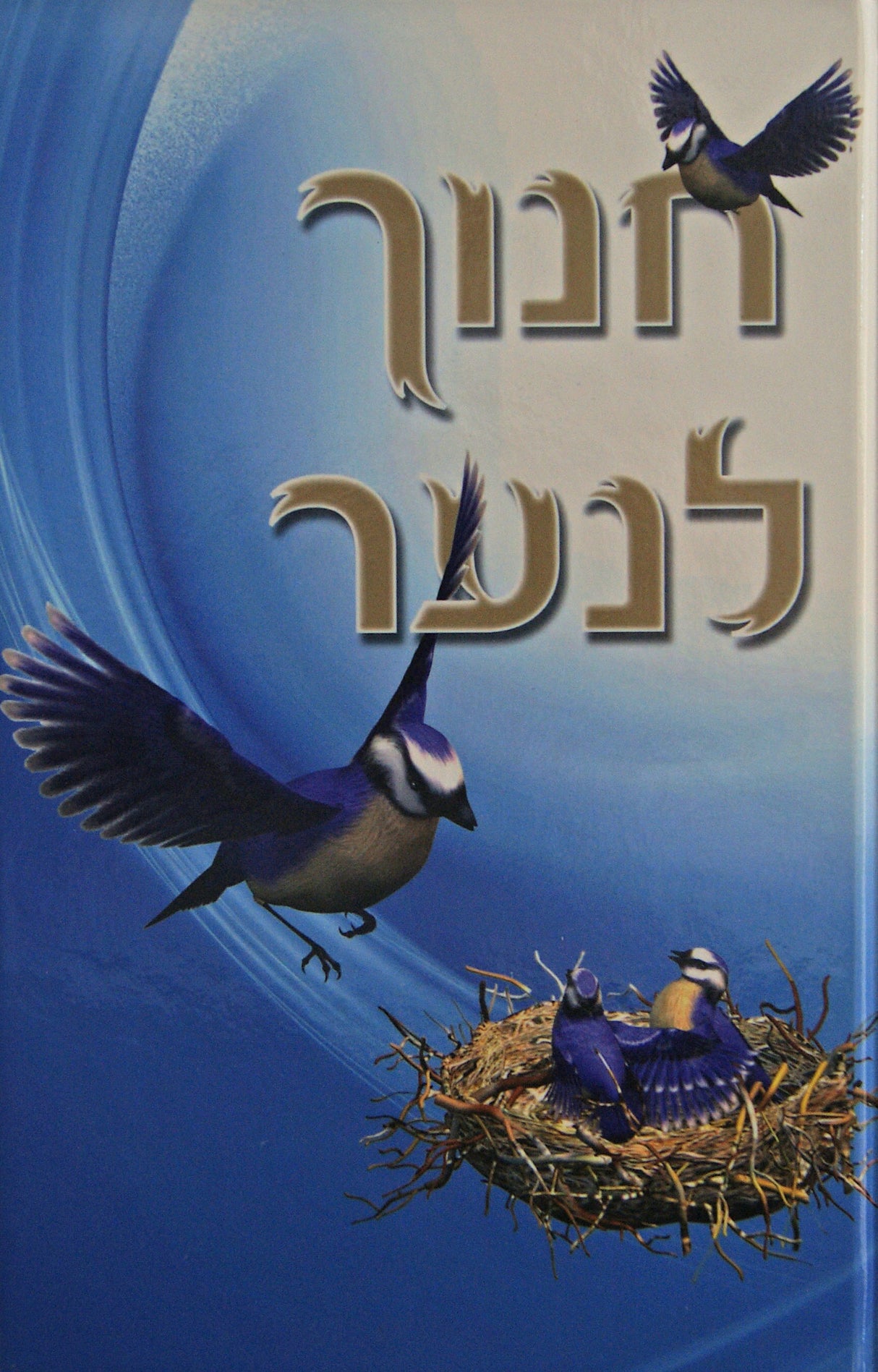 חנוך לנער - מעלות אידיש