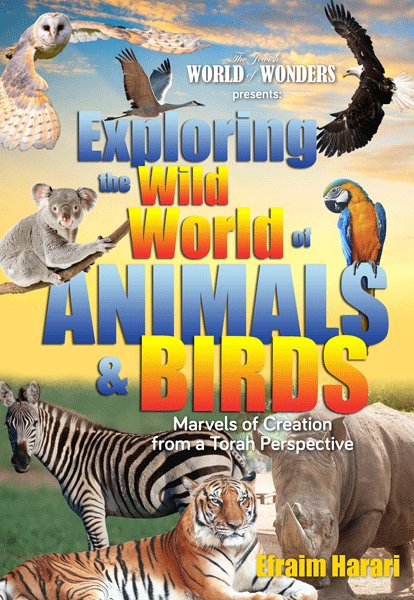 Exploring the Wild World of Animals & Birds