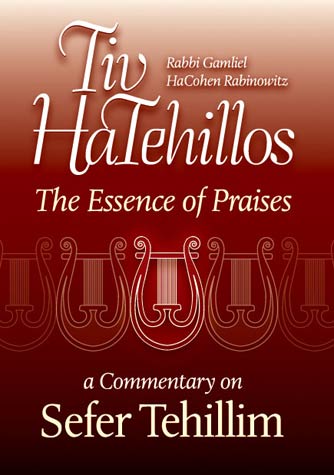 Tiv HaTehillos: The Essence of Praises