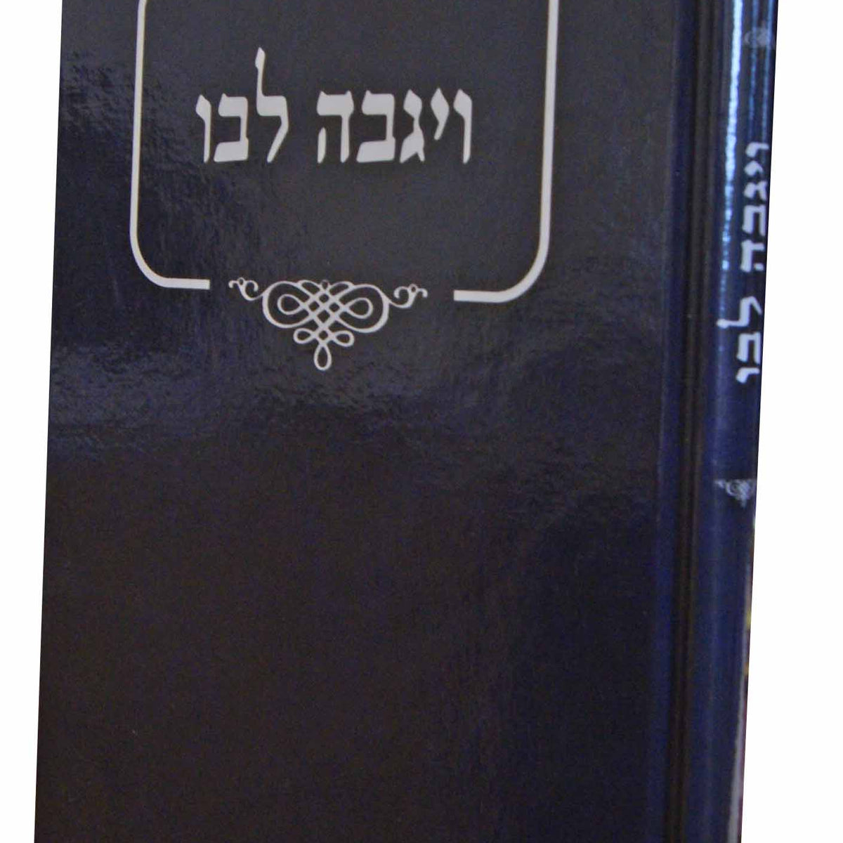 ויגבה לבו – Lehmanns B2C