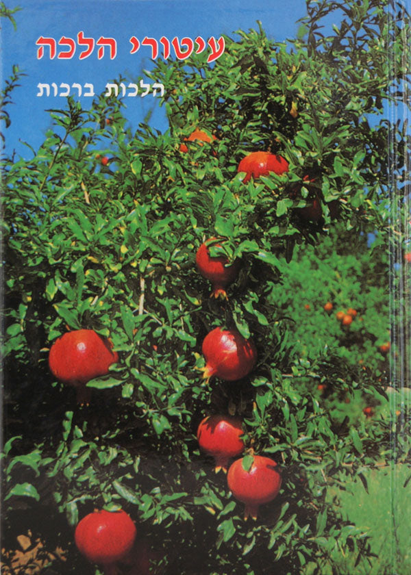 עיטורי הלכה - ברכות