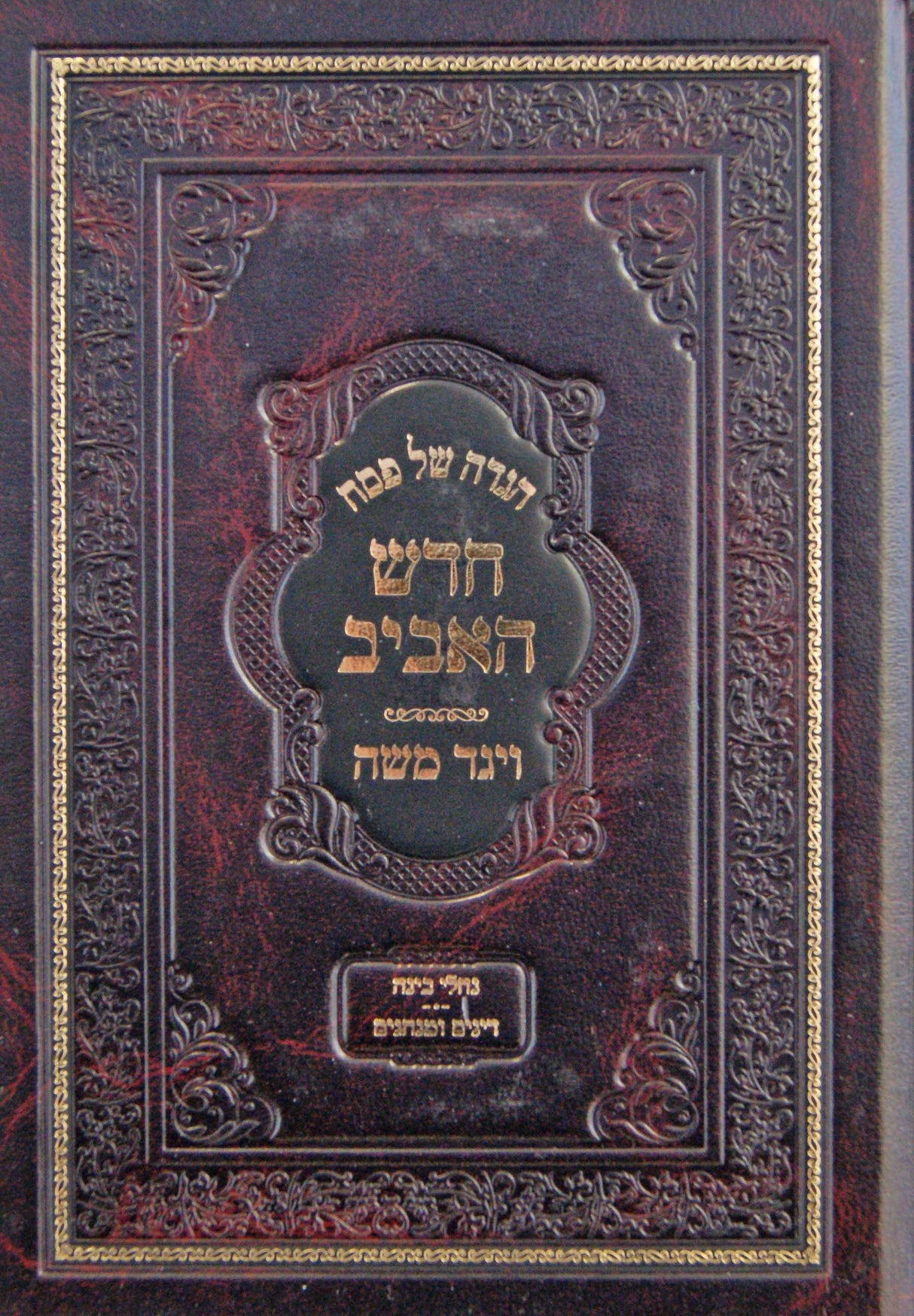 הגדה חדש האביב - ויגד משה - מוקטן