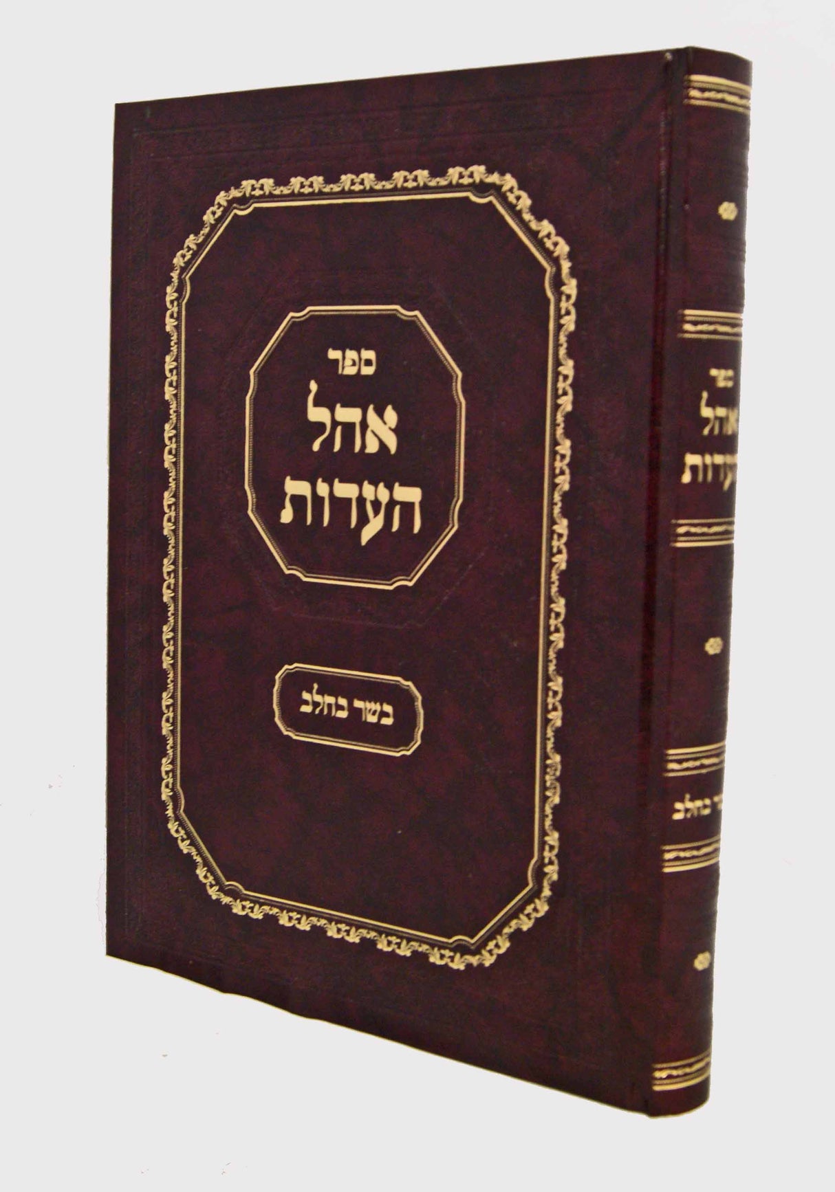 אהל העדות - בשר בחלב