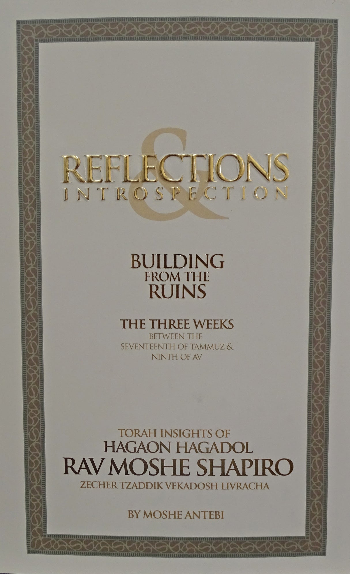 Reflections & Introspection Building from the Ruins The Three Weeks