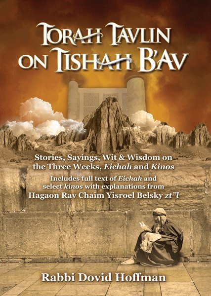 Torah Tavlin on Tisha B'av