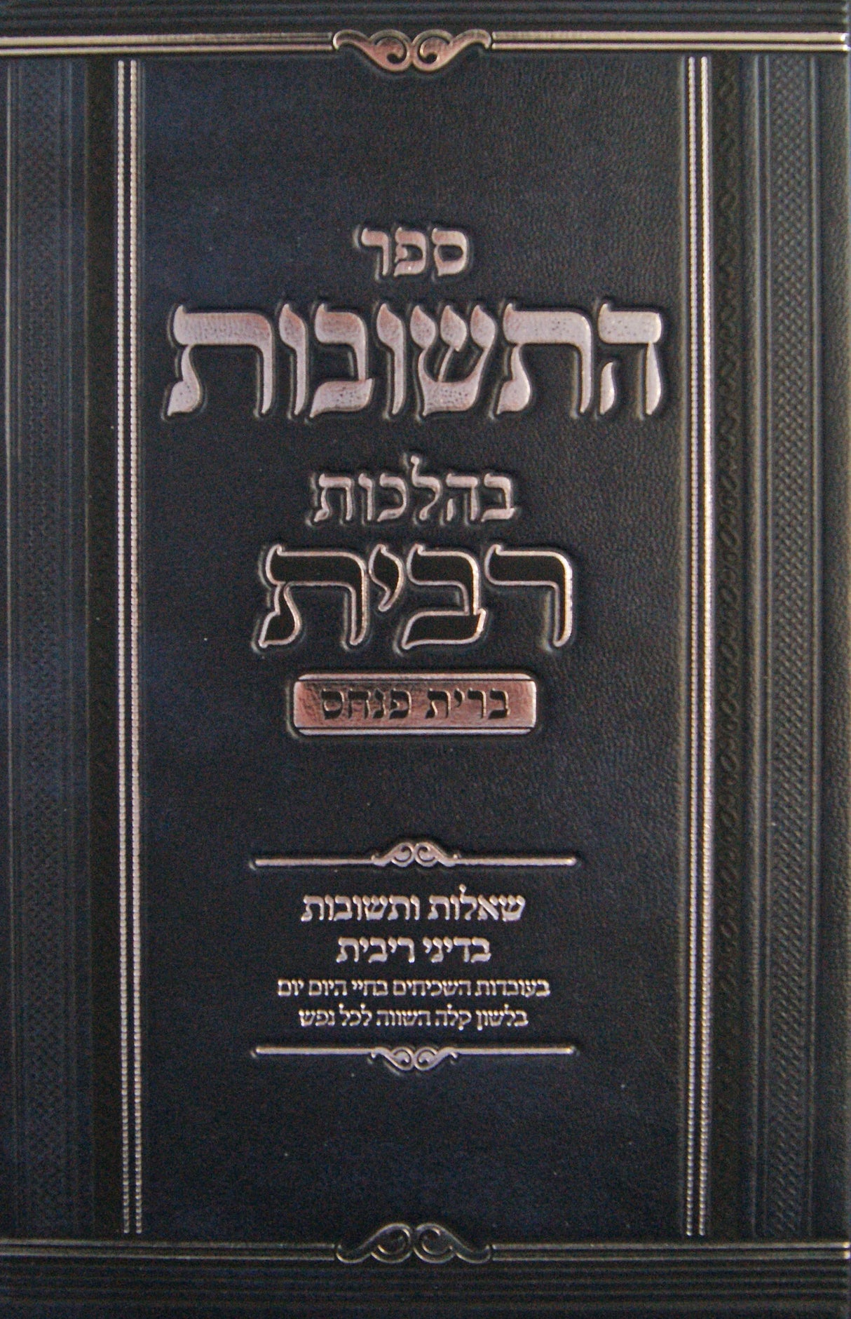 התשובות בהלכות רבית ברית פנחס חלק א