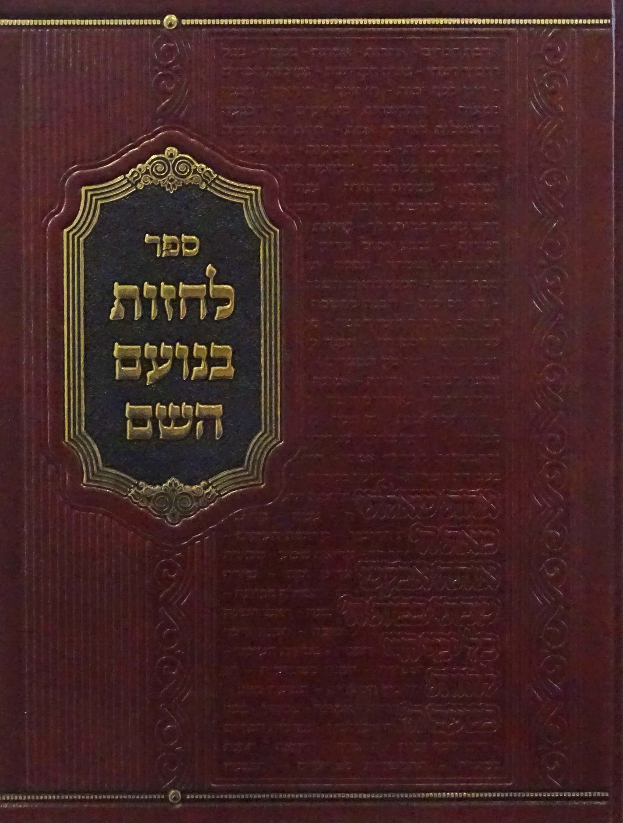 לחזות בנועם השם -  חלק  ב- ענינים והדרכות בעבודת השם