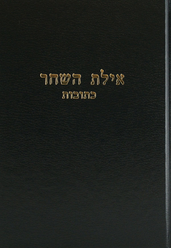 אילת השחר - בבא מציעא חלק א