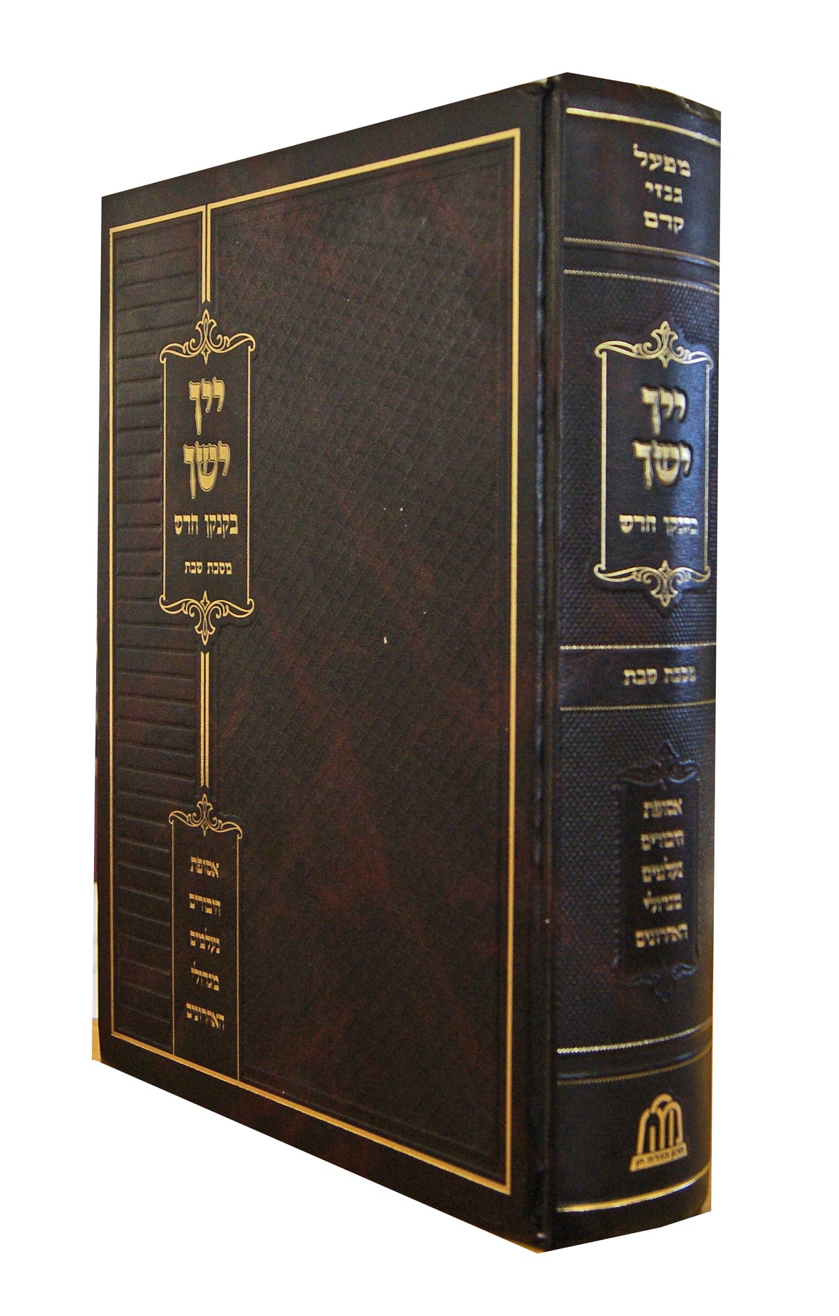 יין ישן בקנקן חדש - מסכת פסחים