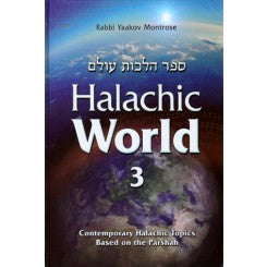 Halachic World (Volume 3)