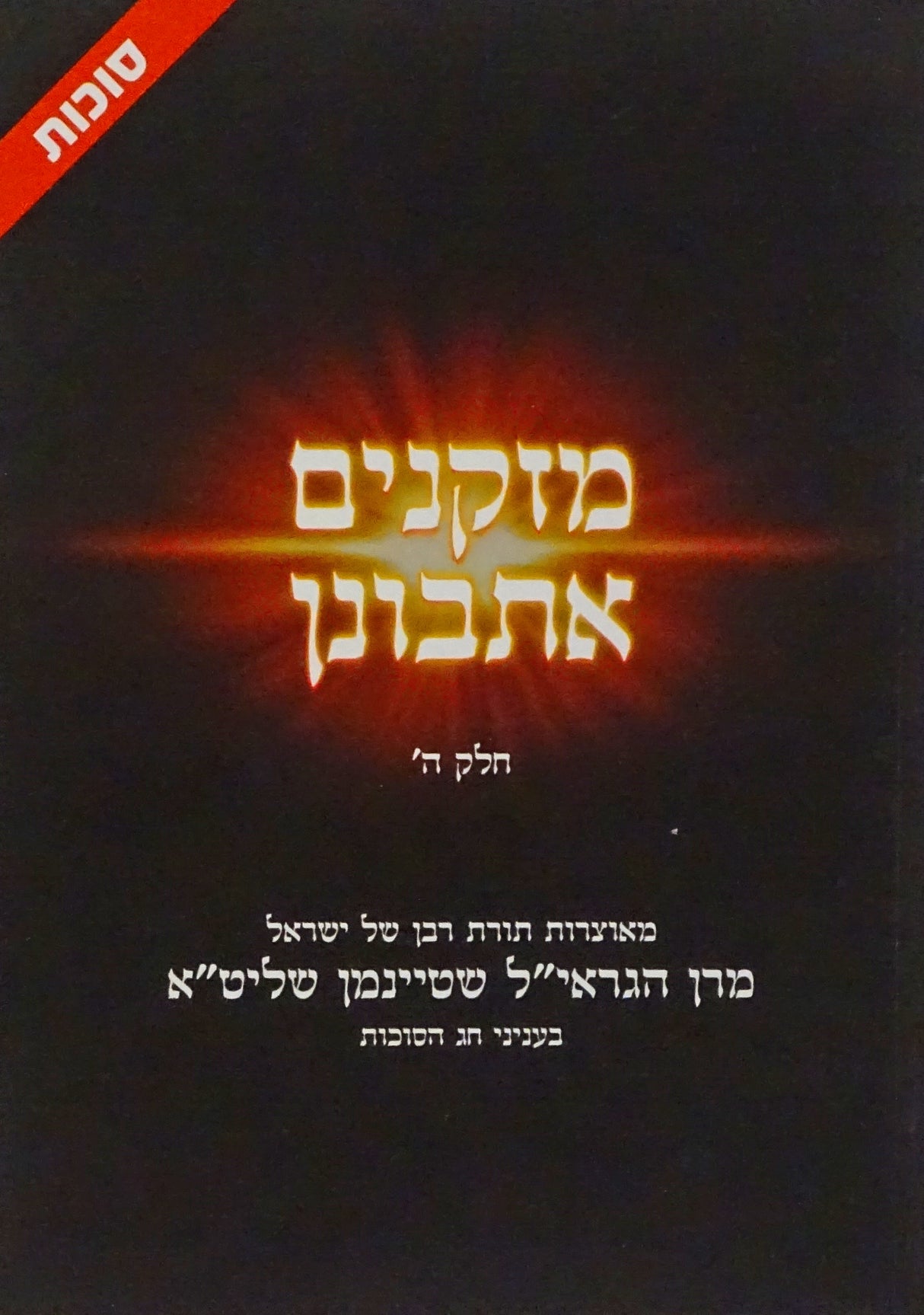 מזקנים אתבונן חלק ה - סוכות רכה