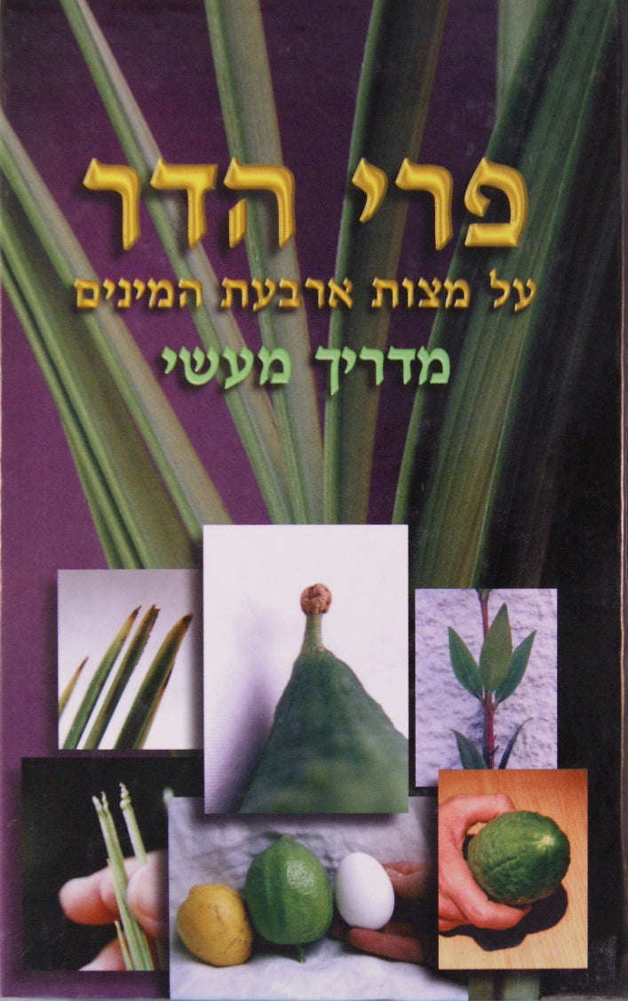 פרי הדר על מצות ד' מינים - מדריך מעשי