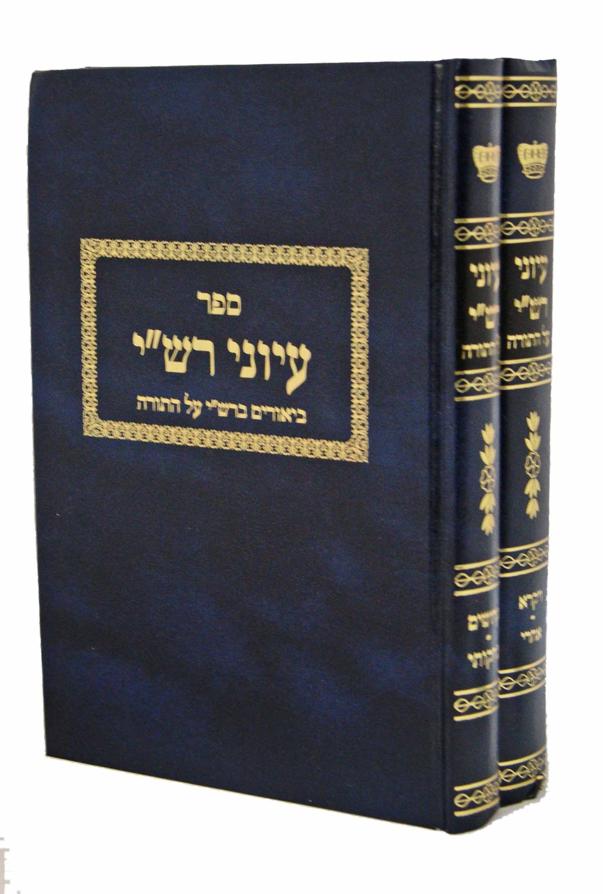 עיוני רש"י ויקרא ב' כרכים