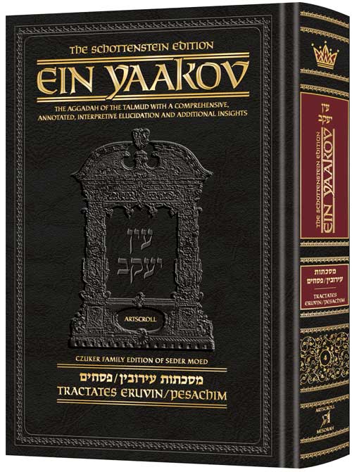 Schottenstein Ed Ein Yaakov [#04] - Eruvin and Pesachim