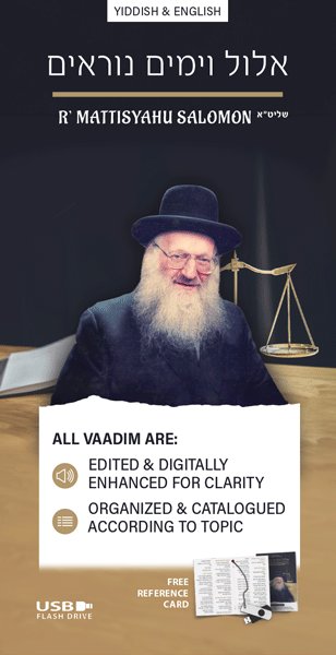 Rav Mattisyahu Salomon Vaadim - Elul and Yamim Nora'im USB