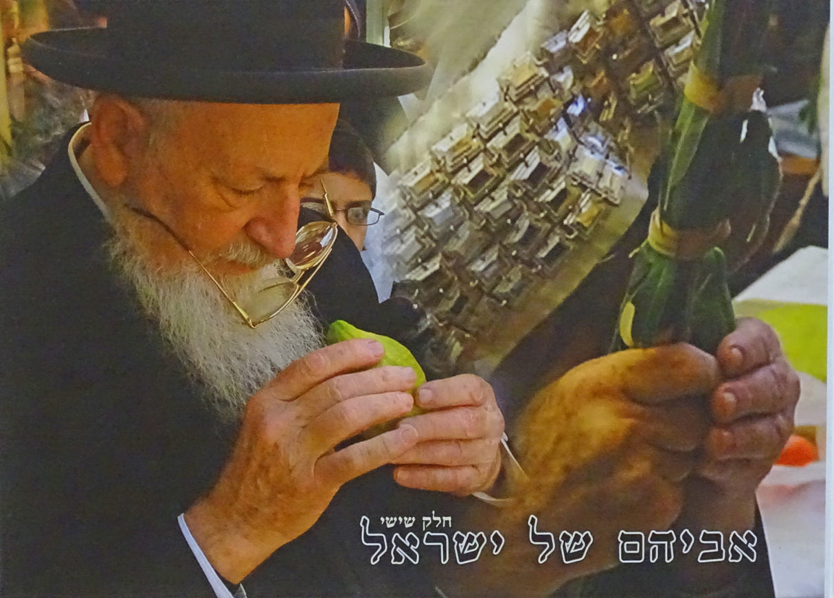אביהם של ישראל חלק ו - הרב מרדכי אליהו זצוק"ל