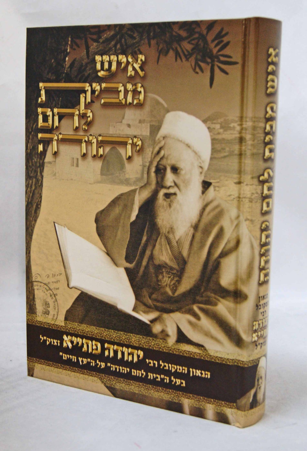 איש מבית לחם יהודה - רבי יהודה פתייא