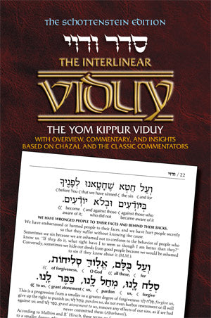Artscroll: Intrelinear Viduy / Confession by Rabbi Menachem Davis