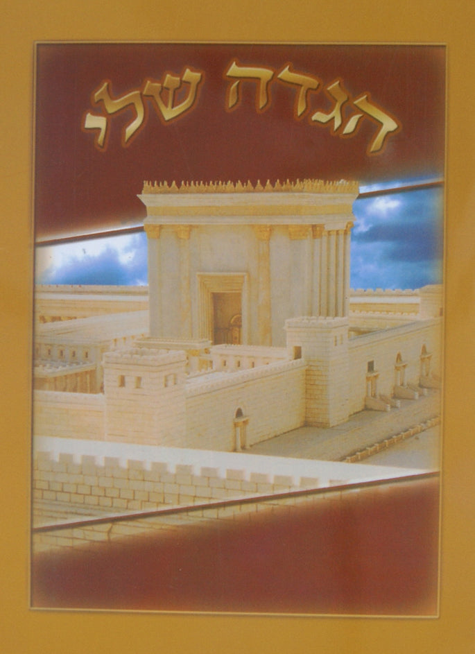 הגדה שלי