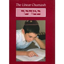 Feldheim: Linear Chumash: Bamidbar by Rabbi Pesach Goldberg