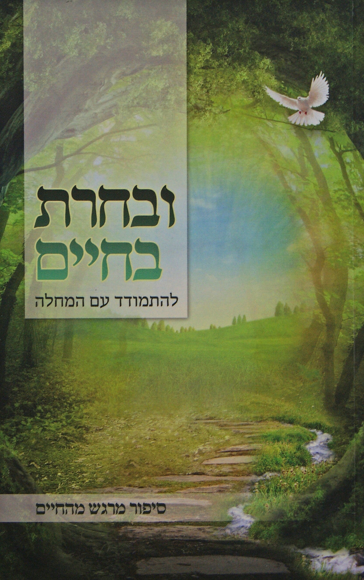 ובחרת בחיים רכה - להתמודד עם המחלה - יפה נוף