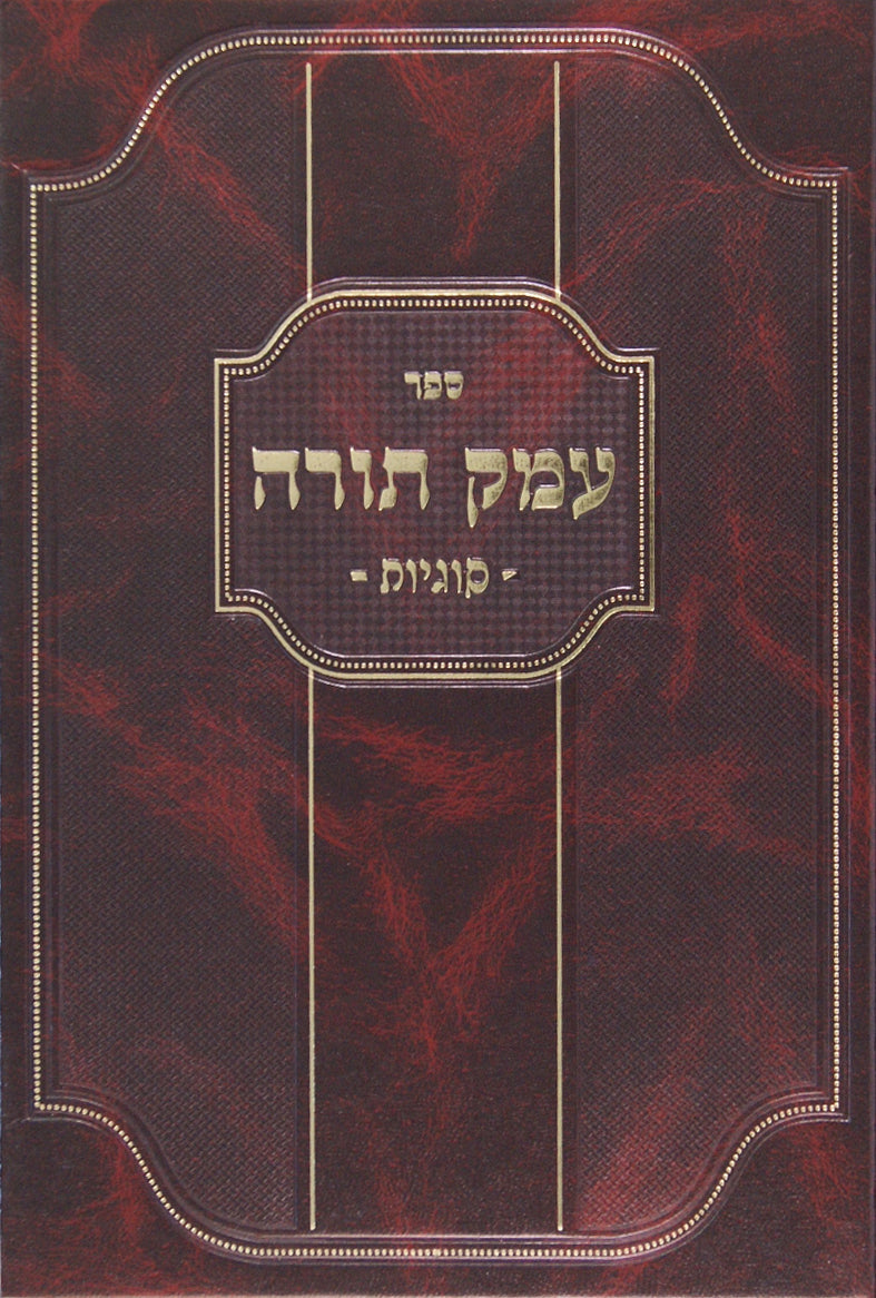 עמק תורה - סוגיות