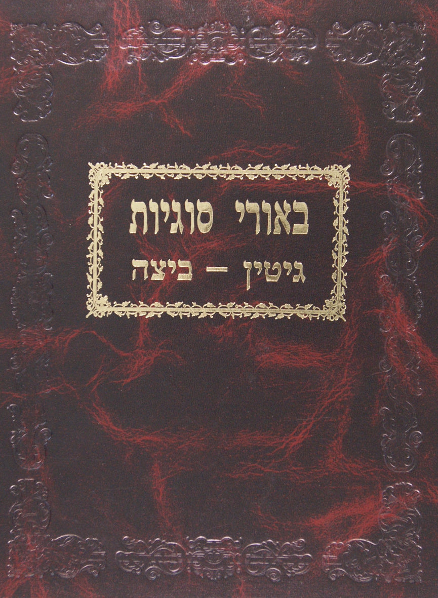 ביאורי סוגיות-מכות-זה בורר
