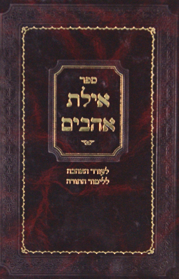 אילת אהבים - לעורר האהבה ללימוד התורה