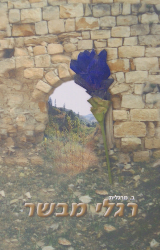 רגלי מבשר - תולדות ר' עקיבא יוסף שלזינגר