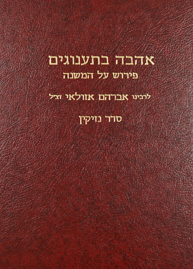 אהבה בתענוגים -נזיקין - מכון