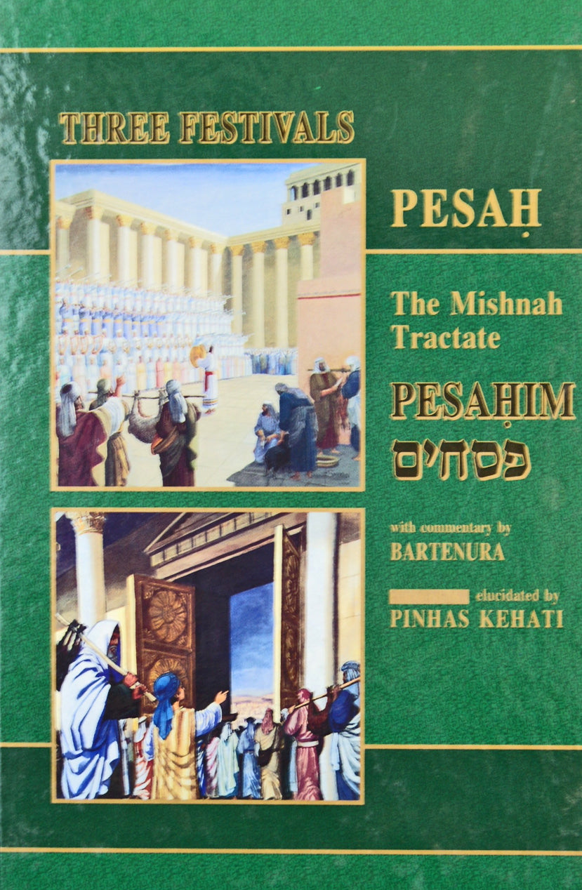 Kehati Pesachim with pictures