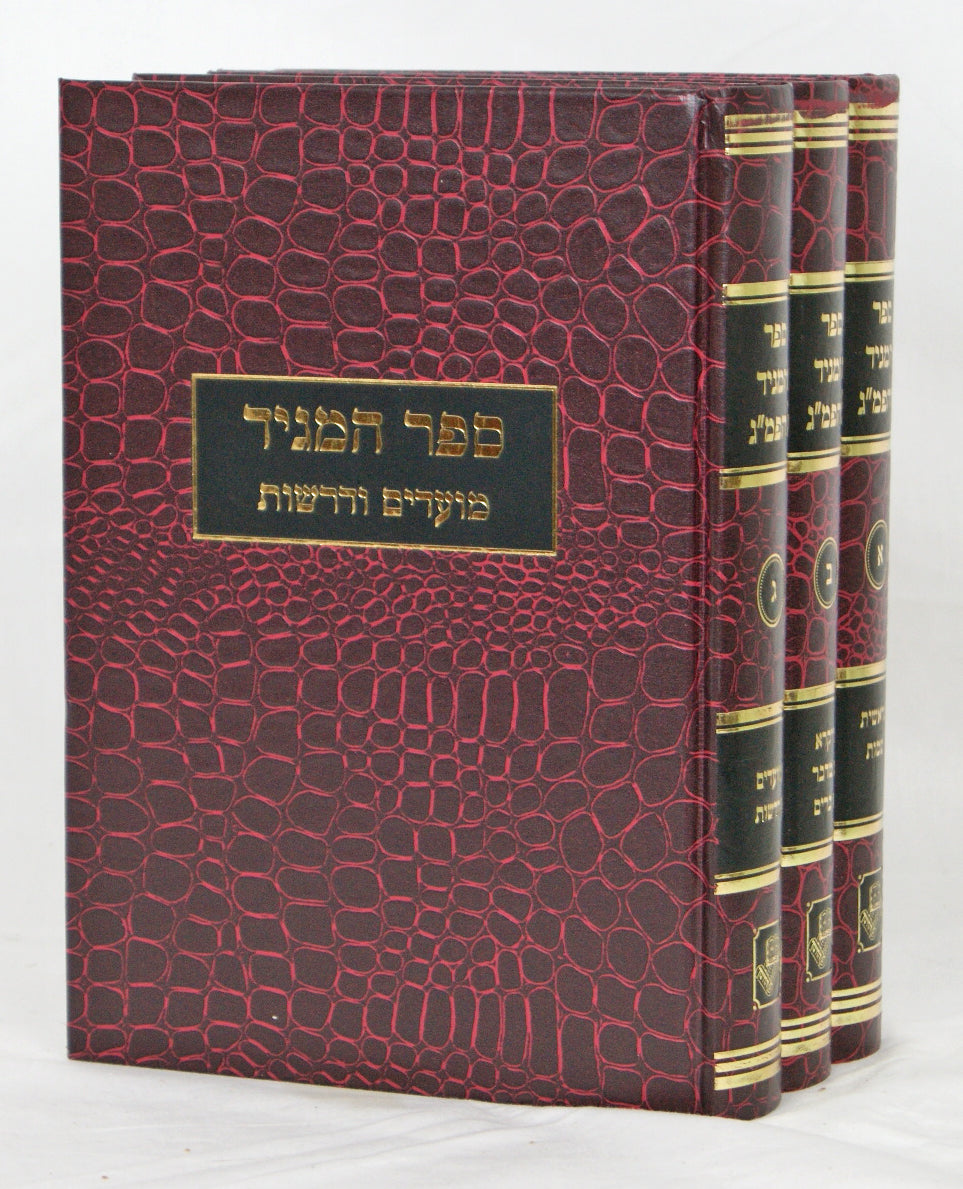 ספר המגיד להפרי מגדים על התורה מועדים ודרשות ג' כרכים