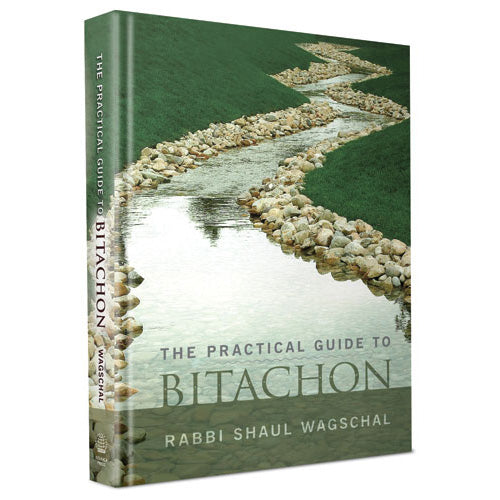 Practical Guide to Bitachon