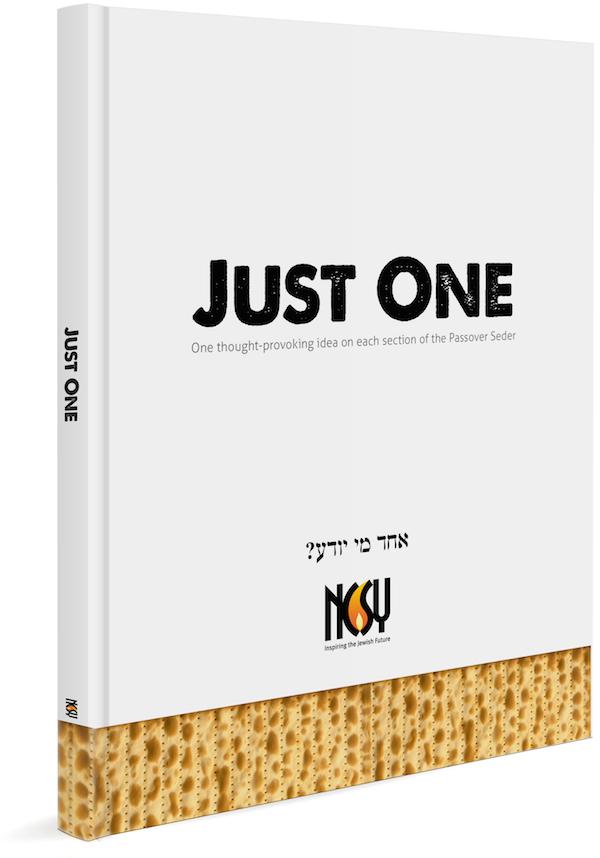 Just One - The NCSY Haggadah