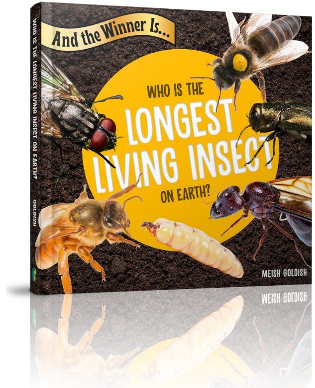 And the Winner Is...Who Is the Longest Living Insect on Earth?