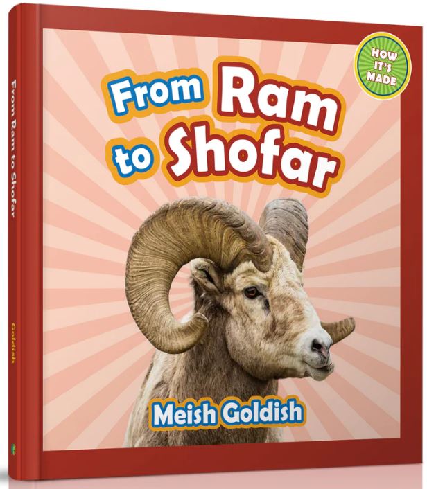 From Ram to Shofar